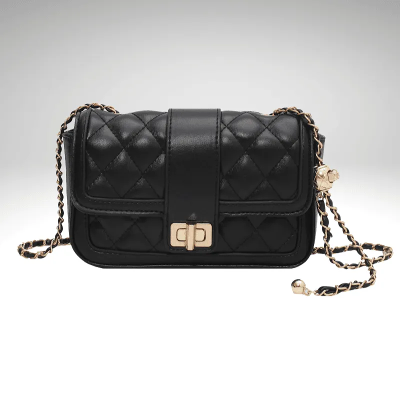 Chain Strap Clasp Shoulder Bag