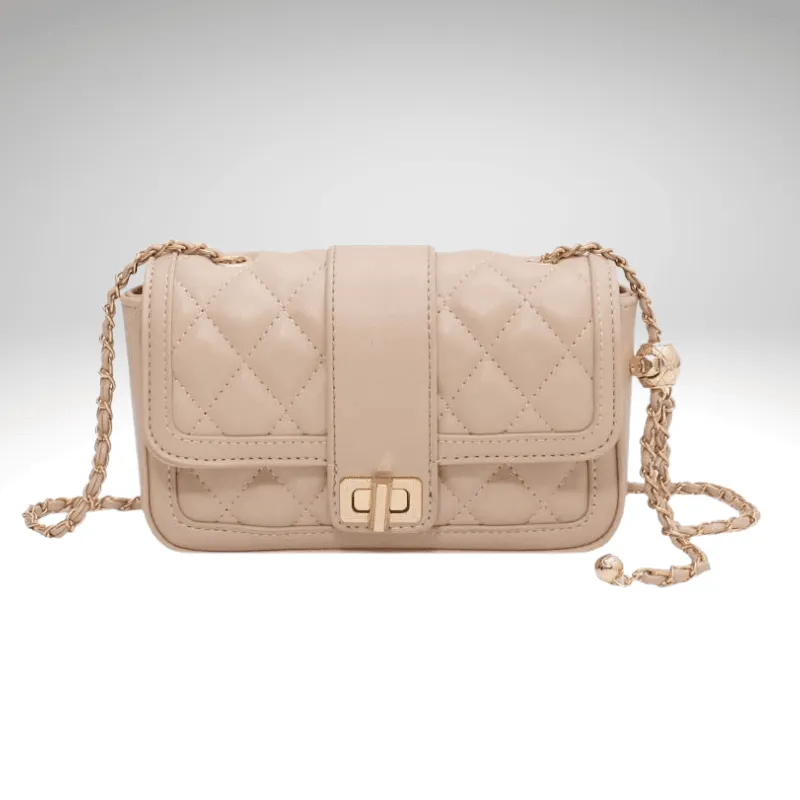 Chain Strap Clasp Shoulder Bag